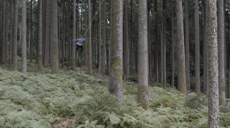 in einem Tannenwald schwingt zwischen den Baumstämmen ein Mann in Anzug an einem Seil